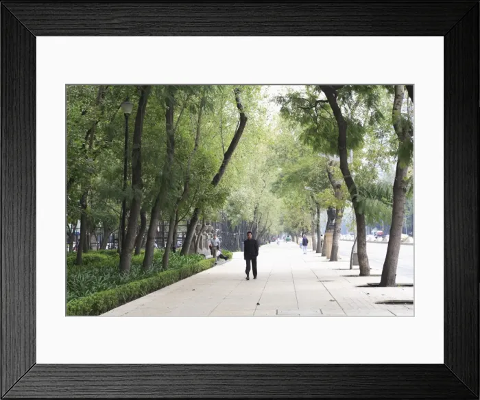 Framed Print : Paseo de la Reforma, Reforma, Mexico City, Mexico, North America Framed Print : Paseo de la Reforma, Reforma, Mexico City, Mexico, North America