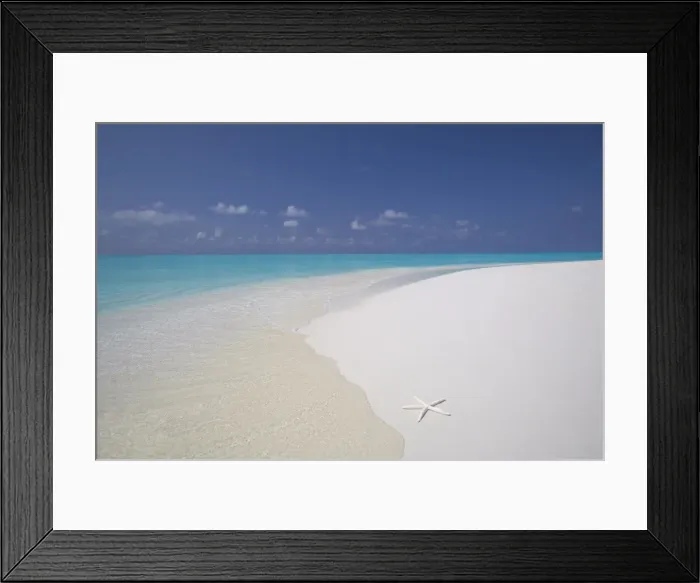 Framed Print : Starfish on beach, Male Atoll, Maldives, Indian Ocean Framed Print : Starfish on beach, Male Atoll, Maldives, Indian Ocean