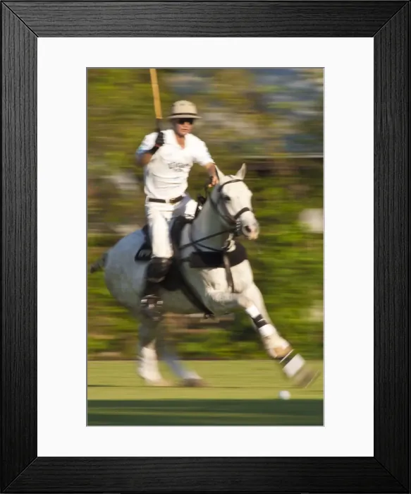 Framed Print : Polo, Houston, Texas, United States of America, North America Framed Print : Polo, Houston, Texas, United States of America, North America