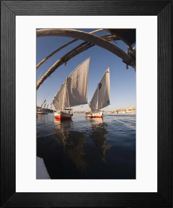 Framed Print : Feluccas sailing on the River Nile near Aswan, Egypt, North Africa, Africa Framed Print : Feluccas sailing on the River Nile near Aswan, Egypt, North Africa, Africa