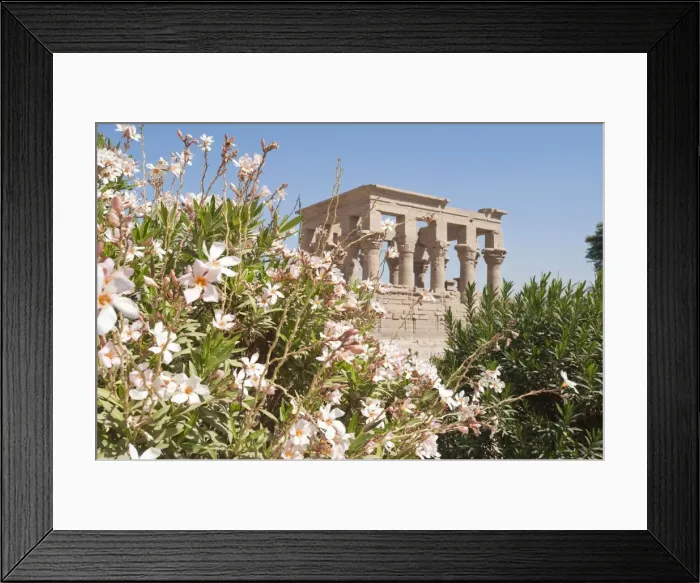 Framed Print : Philae Temple near Aswan, Egypt, North Africa, Africa Framed Print : Philae Temple near Aswan, Egypt, North Africa, Africa
