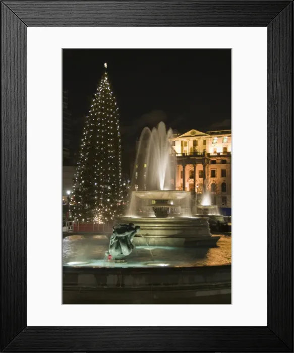 Framed Print : Christmas tree and fountains in Trafalgar Square at night, London, England Framed Print : Christmas tree and fountains in Trafalgar Square at night, London, England