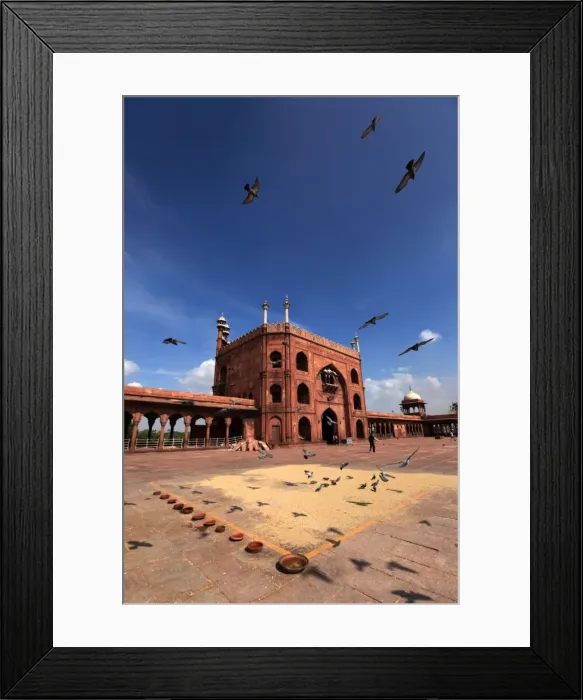 Framed Print : Pigeons feed on grain scattered on the paving stones in the courtyard of Jama Masjid Framed Print : Pigeons feed on grain scattered on the paving stones in the courtyard of Jama Masjid