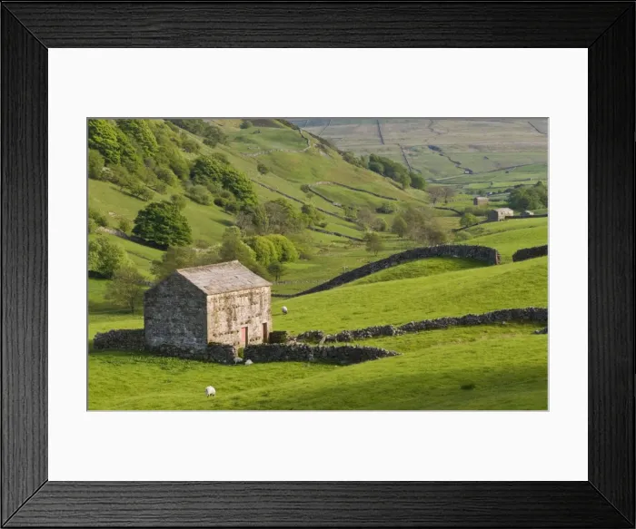 Framed Print : Typical stone barns near Keld in Swaledale, Yorkshire Dales National Park Framed Print : Typical stone barns near Keld in Swaledale, Yorkshire Dales National Park