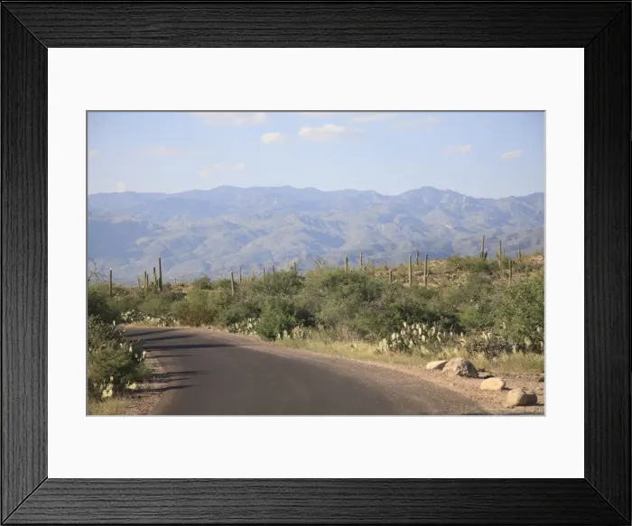 Framed Print : Saguaro National Park, Rincon Mountain District, Tucson, Arizona, United States of America Framed Print : Saguaro National Park, Rincon Mountain District, Tucson, Arizona, United States of America