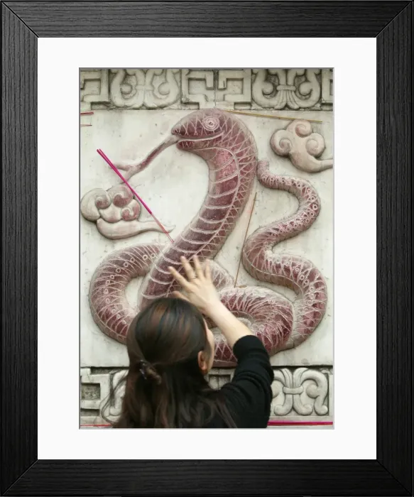 Framed Print : Chinese astrological sign, White Cloud Temple, Beijing, China, Asia Framed Print : Chinese astrological sign, White Cloud Temple, Beijing, China, Asia