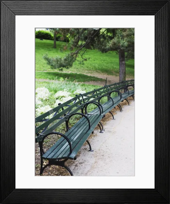 Framed Print : Benches, Central Park, Manhattan, New York City, New York, United States of America Framed Print : Benches, Central Park, Manhattan, New York City, New York, United States of America