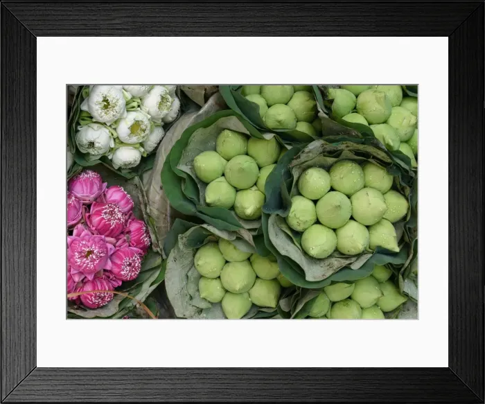 Framed Print : Lotus flowers, Bangkok, Thailand, Southeast Asia, Asia Framed Print : Lotus flowers, Bangkok, Thailand, Southeast Asia, Asia