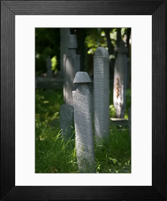 Framed Print : Whirling dervishs cemetery, Istanbul, Turkey, Europe Framed Print : Whirling dervishs cemetery, Istanbul, Turkey, Europe