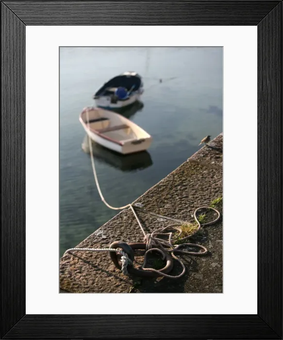 Framed Print : Boats, Roscoff, Finistere, Brittany, France, Europe Framed Print : Boats, Roscoff, Finistere, Brittany, France, Europe