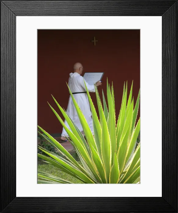 Framed Print : Monk in Keur Moussa abbey cloister, Keur Moussa, Senegal, West Africa, Africa Framed Print : Monk in Keur Moussa abbey cloister, Keur Moussa, Senegal, West Africa, Africa