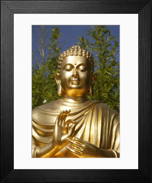 Framed Print : Sitting Buddha statue, Sainte-Foy-Les-Lyon, Rhone, France, Europe Framed Print : Sitting Buddha statue, Sainte-Foy-Les-Lyon, Rhone, France, Europe