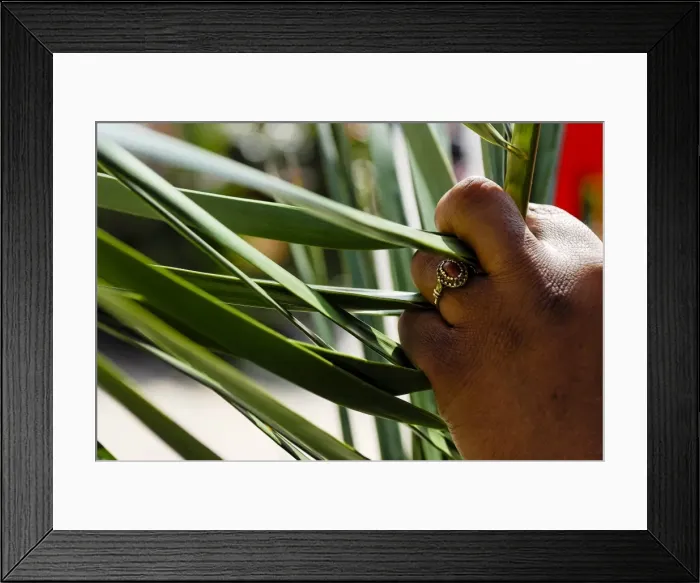 Framed Print : Palm Sunday celebration, Paris, Ile de France, France, Europe Framed Print : Palm Sunday celebration, Paris, Ile de France, France, Europe