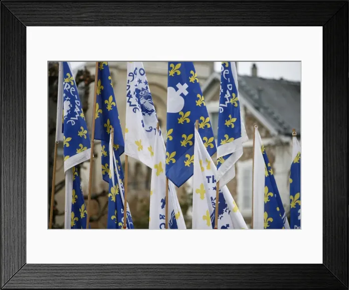 Framed Print : Traditionalist banners, Versailles, Yvelines, France, Europe Framed Print : Traditionalist banners, Versailles, Yvelines, France, Europe