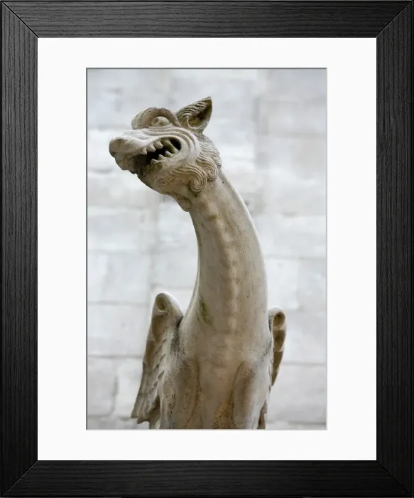 Framed Print : St. Gatien Cathedral gargoyle, Tours, Indre-et-Loire, France, Europe Framed Print : St. Gatien Cathedral gargoyle, Tours, Indre-et-Loire, France, Europe