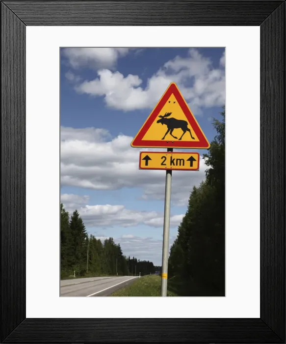 Framed Print : Road sign for elk crossing, Highway Number 14, Punkaharju Ridge, Savonlinna Framed Print : Road sign for elk crossing, Highway Number 14, Punkaharju Ridge, Savonlinna