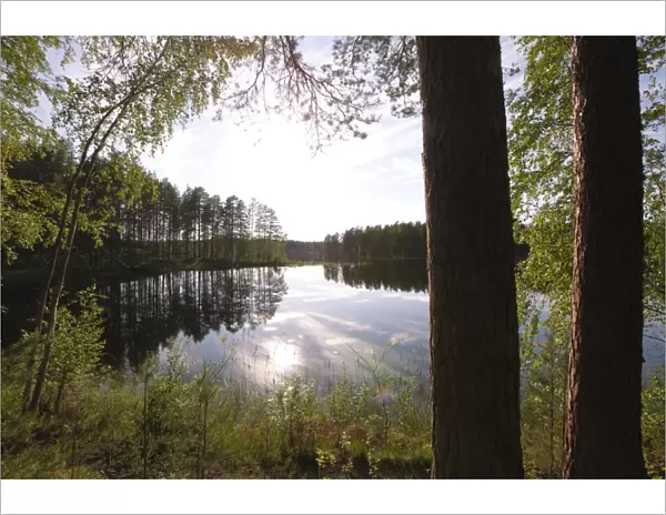 Lake Pihlajavesi, Punkaharju Nature Reserve, Punkaharju Ridge, Saimaa Lake District
