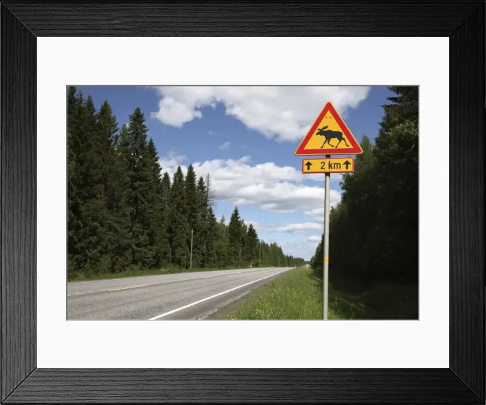 Framed Print : Road sign for elk crossing, Highway Number 14, Punkaharju Ridge, Savonlinna Framed Print : Road sign for elk crossing, Highway Number 14, Punkaharju Ridge, Savonlinna