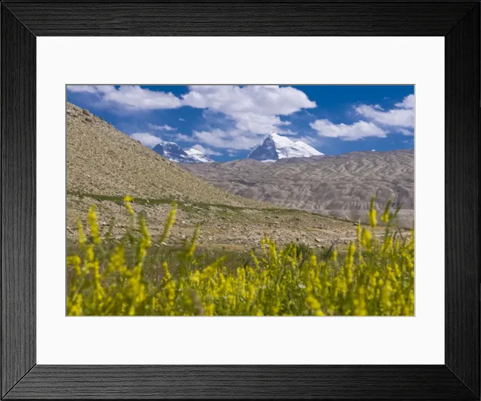 Framed Print : Blooming field before the peak Marx and Engels, Shokh Dara valley, Tajikistan Framed Print : Blooming field before the peak Marx and Engels, Shokh Dara valley, Tajikistan