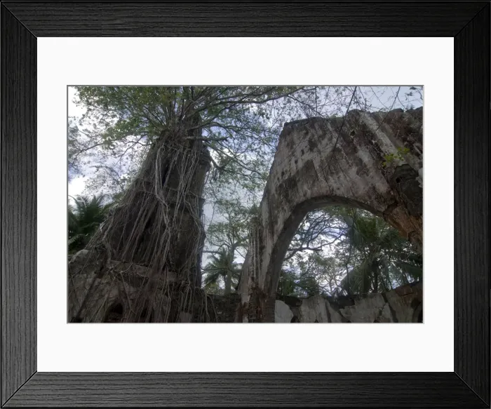 Framed Print : Overgrown destroyed church on Ross Island, formerly known as the Paris of the Indian Ocean Framed Print : Overgrown destroyed church on Ross Island, formerly known as the Paris of the Indian Ocean