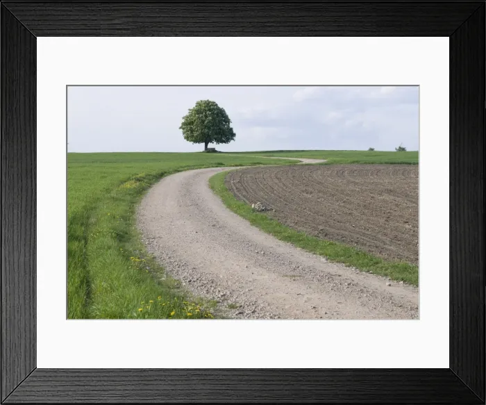 Framed Print : Path leading through landscape, Waldsassen, Bavaria, Germany, Europe Framed Print : Path leading through landscape, Waldsassen, Bavaria, Germany, Europe