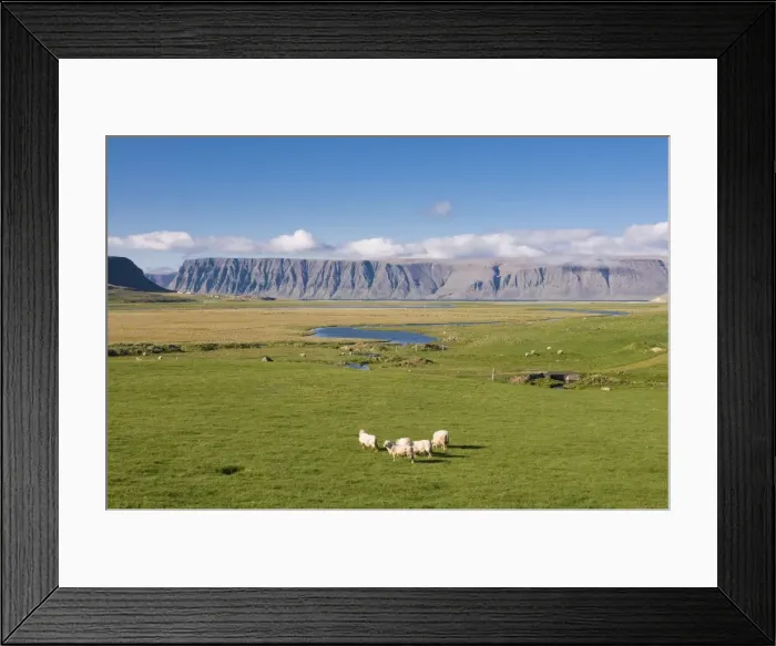 Framed Print : Westfjord scenery, Iceland, Polar Regions Framed Print : Westfjord scenery, Iceland, Polar Regions