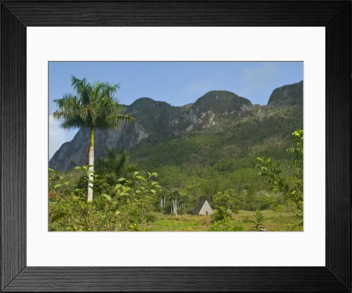 Framed Print : A little hut in the countryside below rocky hills, Vinales, Cuba, West Indies Framed Print : A little hut in the countryside below rocky hills, Vinales, Cuba, West Indies