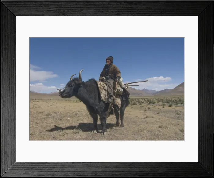 Framed Print : Old man riding on his yak, the Pamirs, Tajikistan, Central Asia, Asia