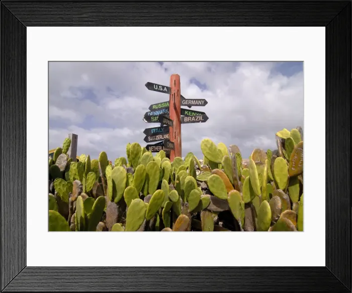 Framed Print : A signpost standing among cactuses, Barbados, West Indies, Caribbean, Central America Framed Print : A signpost standing among cactuses, Barbados, West Indies, Caribbean, Central America