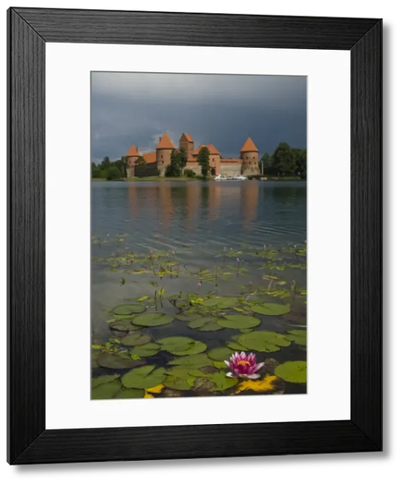 Framed Print : Castle Trakai, reflected in the water of a lake with a water lily, Trakai Framed Print : Castle Trakai, reflected in the water of a lake with a water lily, Trakai
