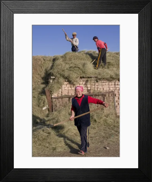 Framed Print : Kyrgyz people harvesting, Sary Tash, Kyrgyzstan, Central Asia, Asia Framed Print : Kyrgyz people harvesting, Sary Tash, Kyrgyzstan, Central Asia, Asia