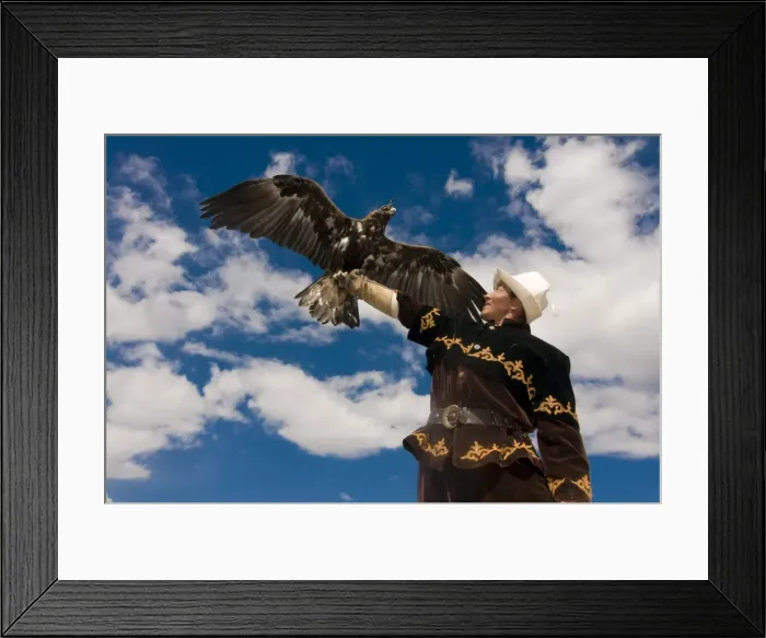 Framed Print : Eagle hunter with his golden eagle (Aquila chrysaetos) on his arm, Issyk Kol Framed Print : Eagle hunter with his golden eagle (Aquila chrysaetos) on his arm, Issyk Kol