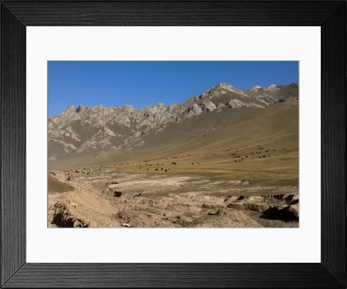 Framed Print : Wild horses and mountains of Sary Tash, Kyrgyzstan, Central Asia, Asia Framed Print : Wild horses and mountains of Sary Tash, Kyrgyzstan, Central Asia, Asia