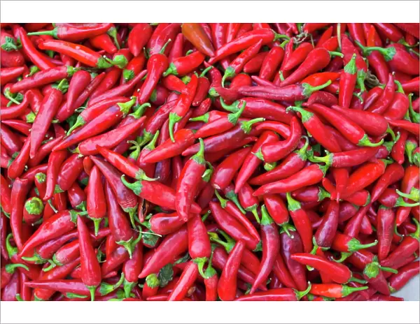 Close-up of red chilies in Nahaufnahme, Osh, Kyrgyzstan, Central Asia