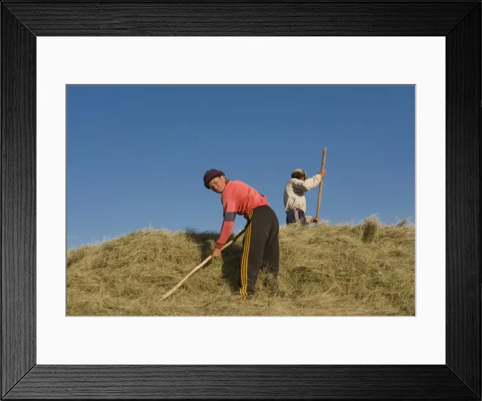Framed Print : Farming family working in the field, Sary Tash, Kyrgyzstan, Central Asia, Asia Framed Print : Farming family working in the field, Sary Tash, Kyrgyzstan, Central Asia, Asia