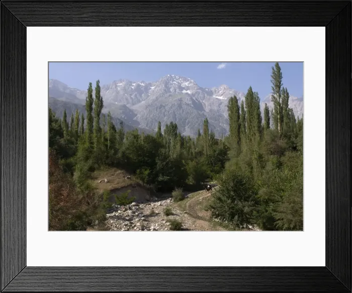 Framed Print : Mountains with walnut trees, Arslanbob, Kyrgyzstan, Central Asia