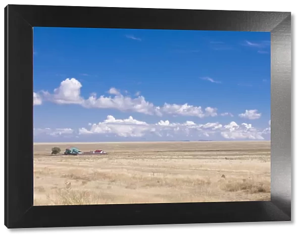 Wheat field with farm, Tamagaly Das, Kazakhstan, Central Asia