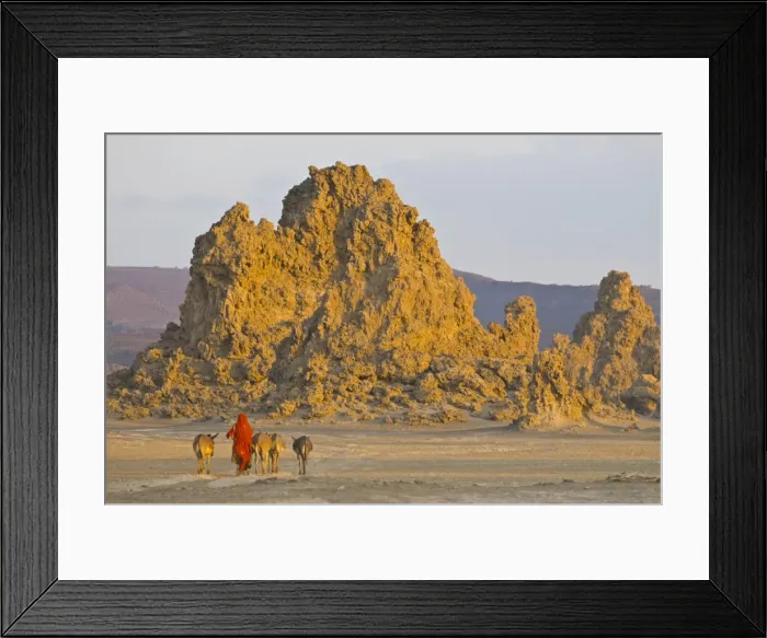 Framed Print : Bedouin bringing their donkeys home in the stunning landscape of Lac Abbe Framed Print : Bedouin bringing their donkeys home in the stunning landscape of Lac Abbe