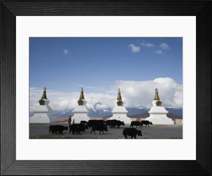 Framed Print : Buddhist stupas at Deqin, near the Tibetan Border, Shangri-La region, Yunnan Province