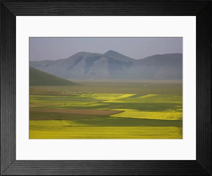 Framed Print : Lentil fields, Highland of Castelluccio di Norcia, Norcia, Umbria, Italy, Europe Framed Print : Lentil fields, Highland of Castelluccio di Norcia, Norcia, Umbria, Italy, Europe