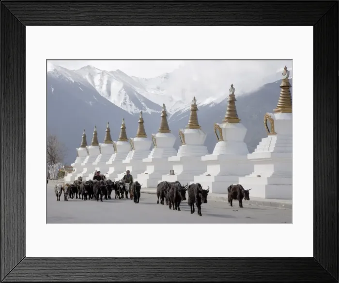 Framed Print : Buddhist stupas, Deqin, called Shangri-La, on the Tibetan Border, Shangri-La region Framed Print : Buddhist stupas, Deqin, called Shangri-La, on the Tibetan Border, Shangri-La region
