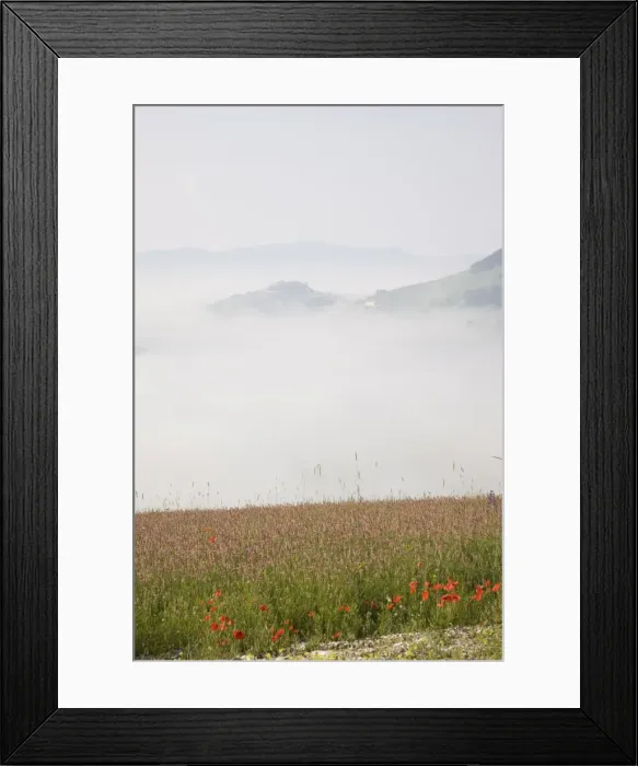 Framed Print : Morning fog, Castelluccio di Norcia, Highland of Castelluccio di Norcia Framed Print : Morning fog, Castelluccio di Norcia, Highland of Castelluccio di Norcia