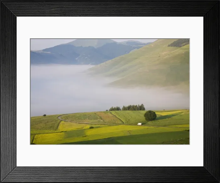 Framed Print : Morning fog, Highland of Castelluccio di Norcia, Castelluccio di Norcia Framed Print : Morning fog, Highland of Castelluccio di Norcia, Castelluccio di Norcia