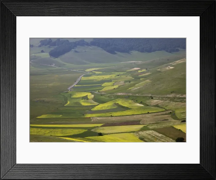 Framed Print : Fields of lentils, Highland of Castelluccio di Norcia, Norcia, Umbria, Italy, Europe Framed Print : Fields of lentils, Highland of Castelluccio di Norcia, Norcia, Umbria, Italy, Europe