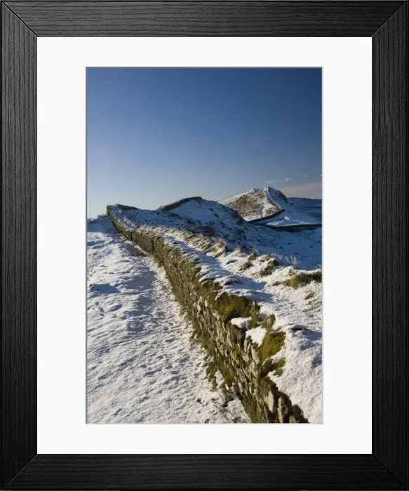 Framed Print : The wall snaking west from Housesteads Wood, Hadrians Wall, UNESCO World Heritage Site Framed Print : The wall snaking west from Housesteads Wood, Hadrians Wall, UNESCO World Heritage Site