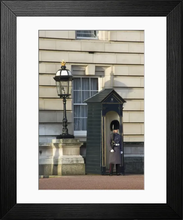 Framed Print : Guardsman, Buckingham Palace, London, England, United Kingdom, Europe Framed Print : Guardsman, Buckingham Palace, London, England, United Kingdom, Europe