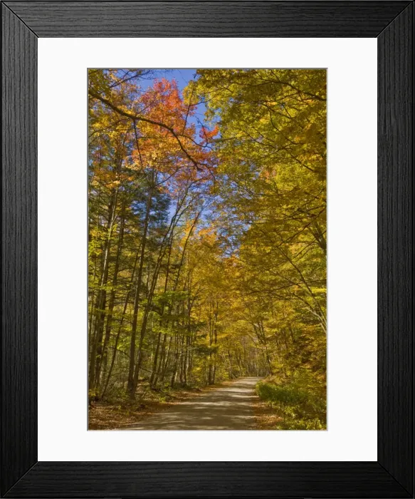 Framed Print : Autumn fall colours, Vermont back country road near West Arlington, Virginia Framed Print : Autumn fall colours, Vermont back country road near West Arlington, Virginia
