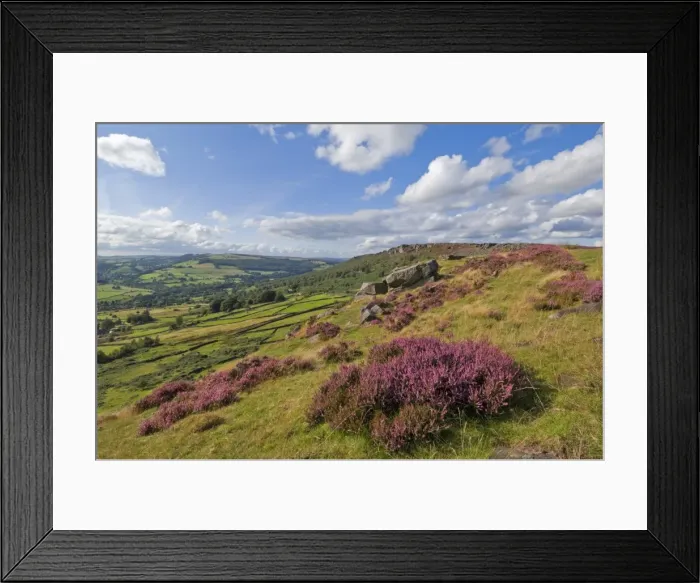 Framed Print : Heather moorland, Baslow Edge near Curbar, Peak District National Park Framed Print : Heather moorland, Baslow Edge near Curbar, Peak District National Park