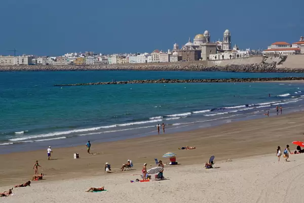 Cathedral waterfront, Cadiz, Andalucia, Spain, Europe