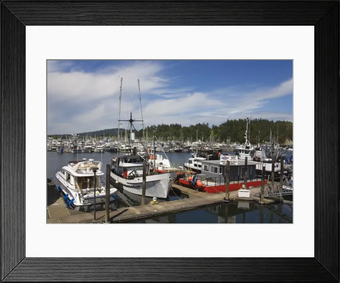 Framed Print : Boat Marina, Anacortes Port, Washington State, United States of America, North America Framed Print : Boat Marina, Anacortes Port, Washington State, United States of America, North America
